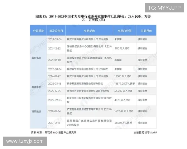 杭州排球队在世界杯中的心理素质表现分析与启示